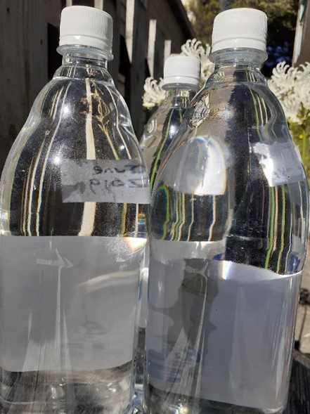 Re-used water bottles